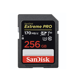SanDisk Extreme PRO 256 GB...